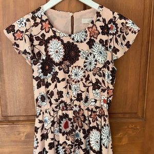 Adorable Loft XSP Flutter Sleeve Dress